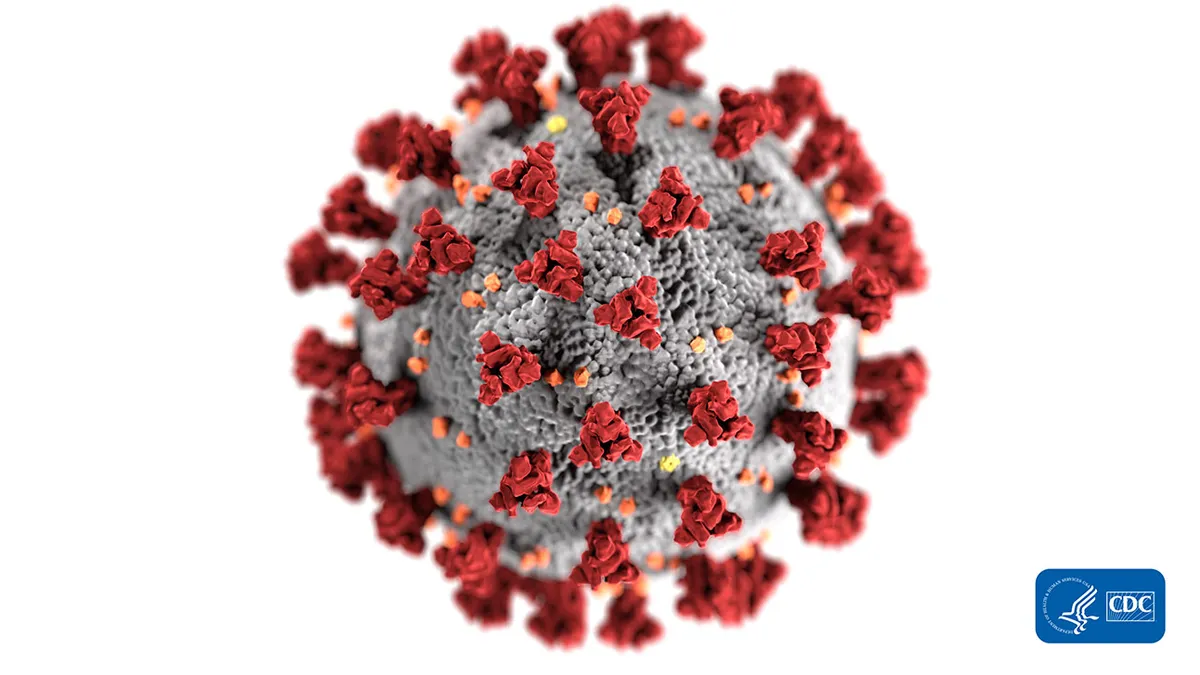 covid-19 coronavirus render on white background