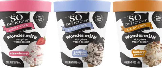 Danone, so delicious, plant based, ice cream