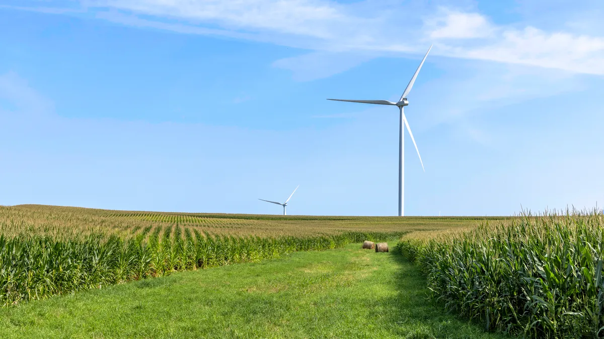 Cornfield Wind Turbine