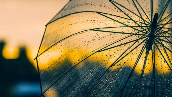 A transparent umbrella