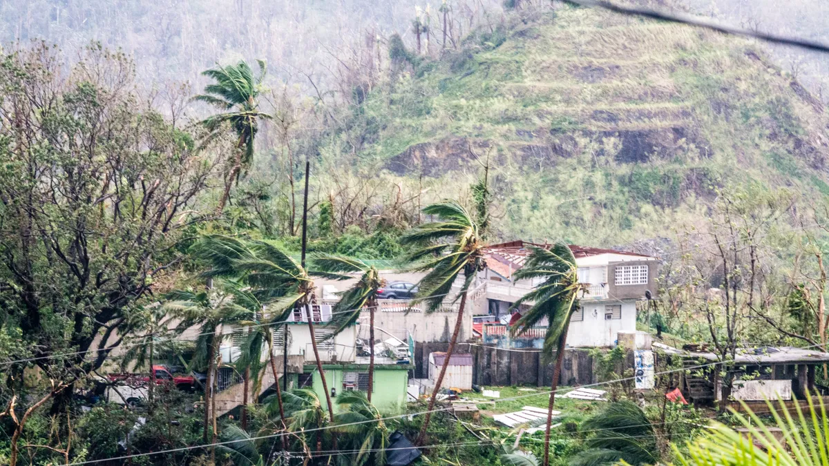 High wind blowing during Hurricane Maria.