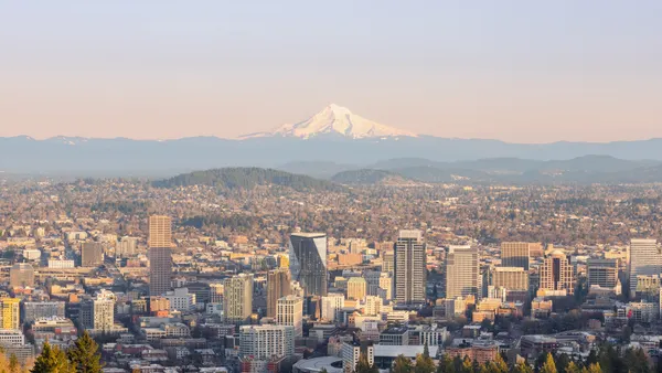 A cityscape in front of a snow-capped mountain.