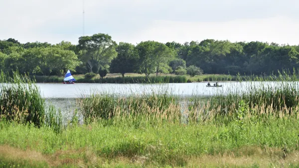 Tall green grass stands in front of a calm lake on a sunny day with a sailboat and canoe on the lake in the distance.