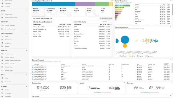 Screenshot of a software demonstration for a product called Reveal Dashboard