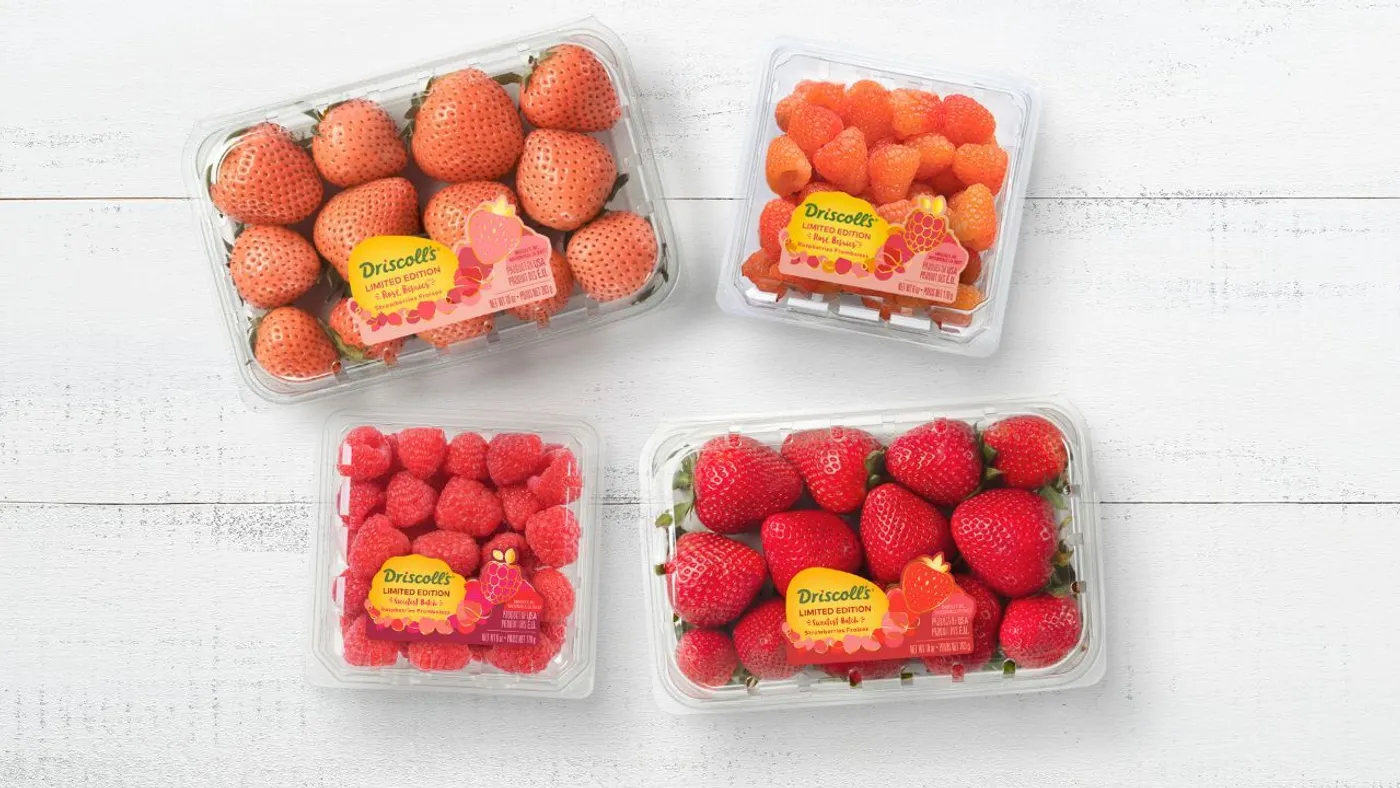 Driscoll's berries fruit