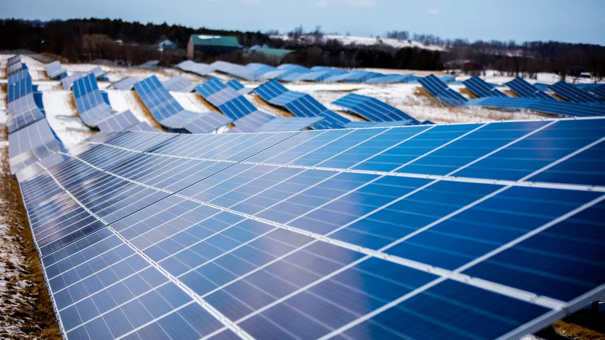 A field of solar panels that dominate the foreground and the background. In the background, they are slanted at angles.