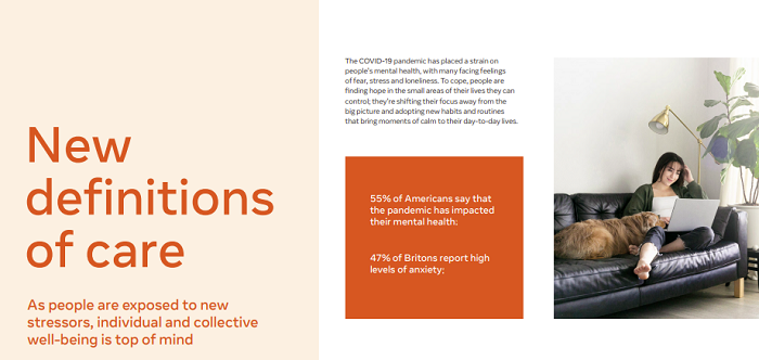 Facebook Mindful Wellness report