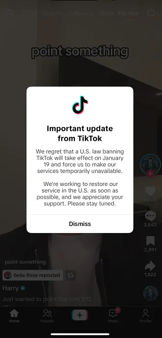 TikTok US shut down