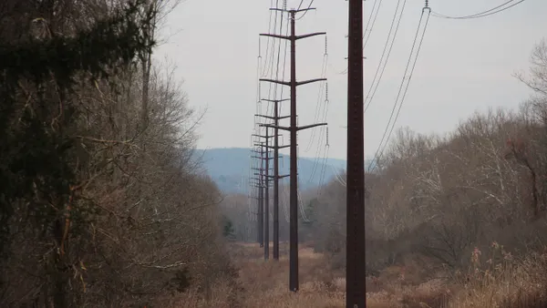 Electric power lines run through woods.