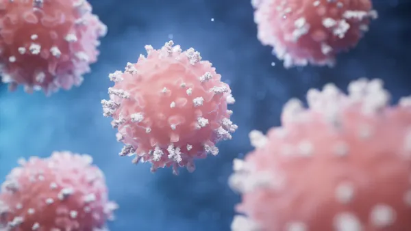 An illustration of lymphocytes