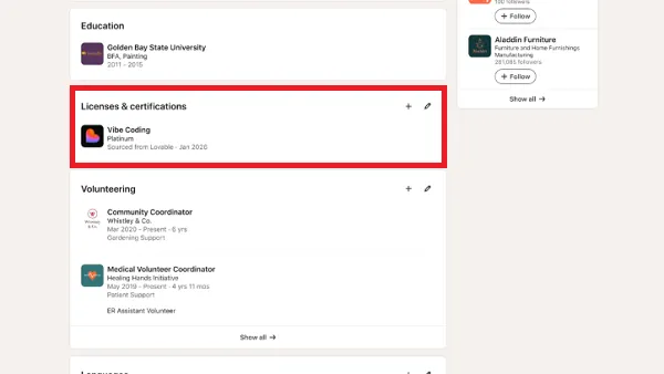 LinkedIn vibe coding