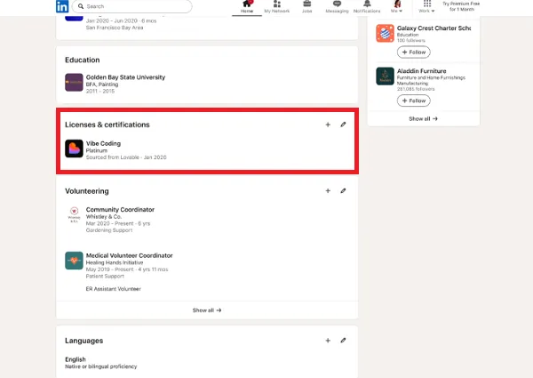 LinkedIn vibe coding