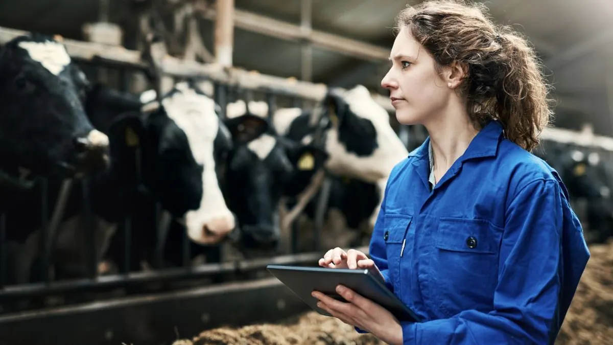 Person holding tablet at dairy farm