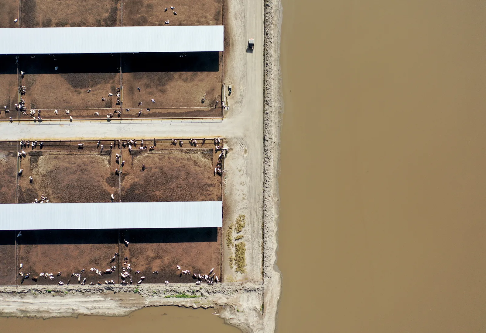 An aerial view of a dairy farm that is surrounded by water.