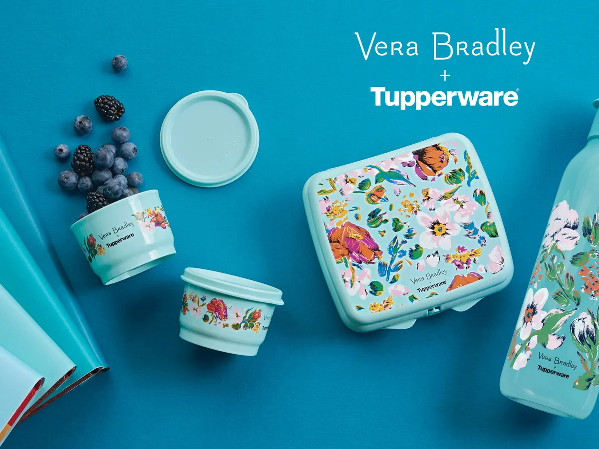 Z3M6Ly9kaXZlc2l0ZS1zdG9yYWdlL2