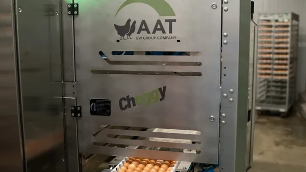 Eggs are seen prior to being sorted by a Cheggy machine