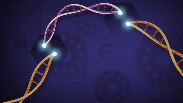 An illustration of CRISPR-cas9 gene editing