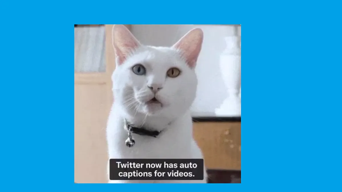 Twitter auto captions