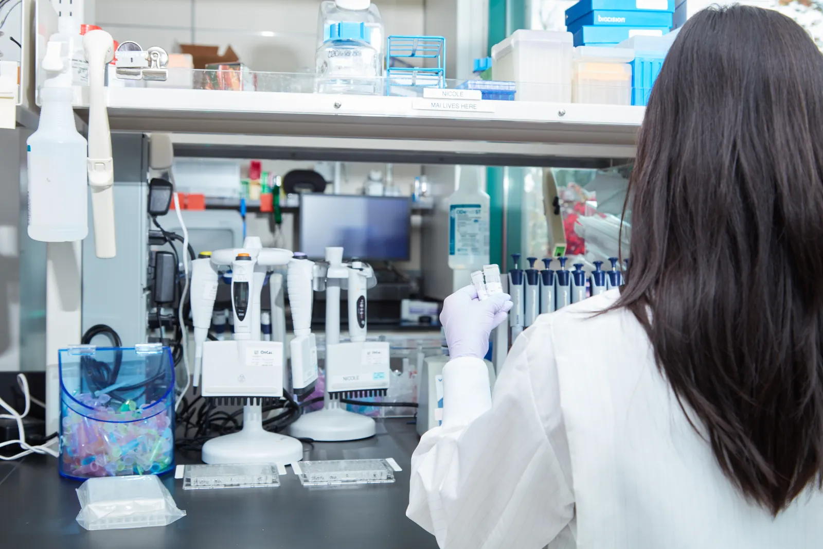 A photo of a Seattle Genetics laboratory