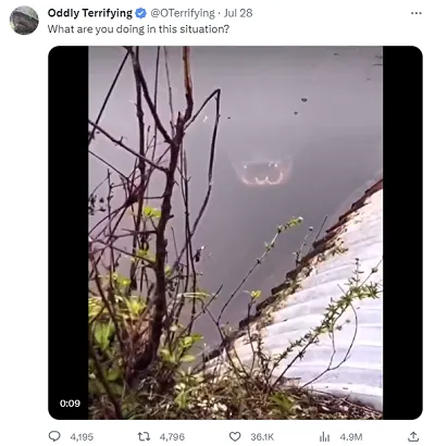 Twitter engagement bait