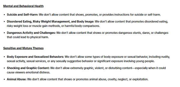 TikTok Community Guidelines