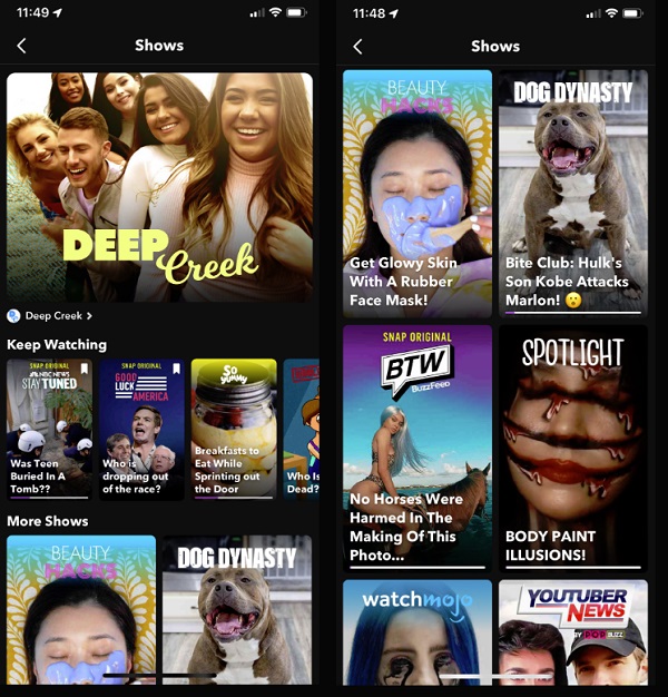 Snap shows section
