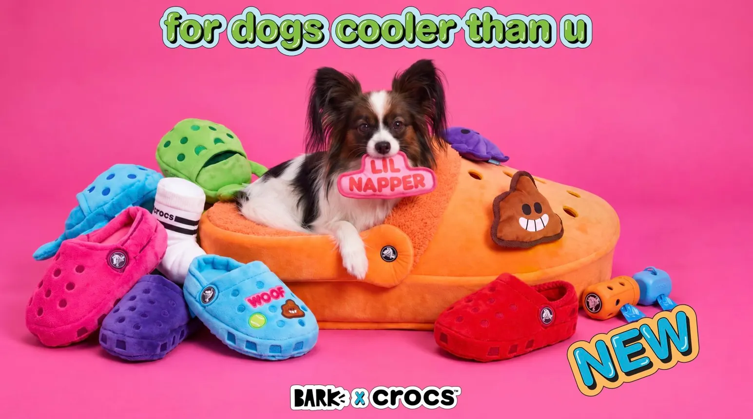 A small dog sitting inside a Crocs-shaped bed