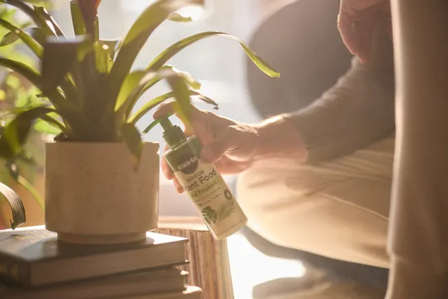 How Scotts Miracle-Gro evolves marketing as gardening goes year-round