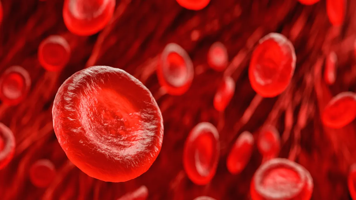 An illustration of red blood cells.
