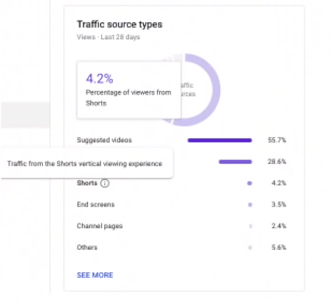 YouTube Shorts insights