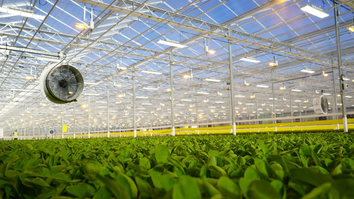 A BrightFarms indoor farming facility