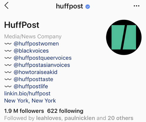Instagram bio link example