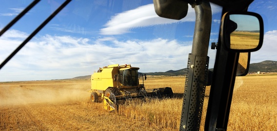 crop farming