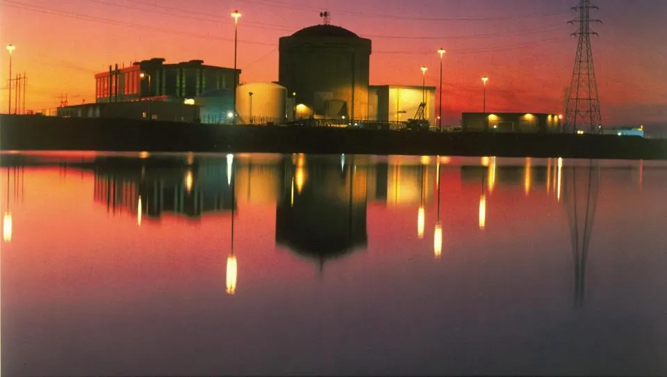 Santee Cooper wants to sell its unfinished reactors. What happens next?