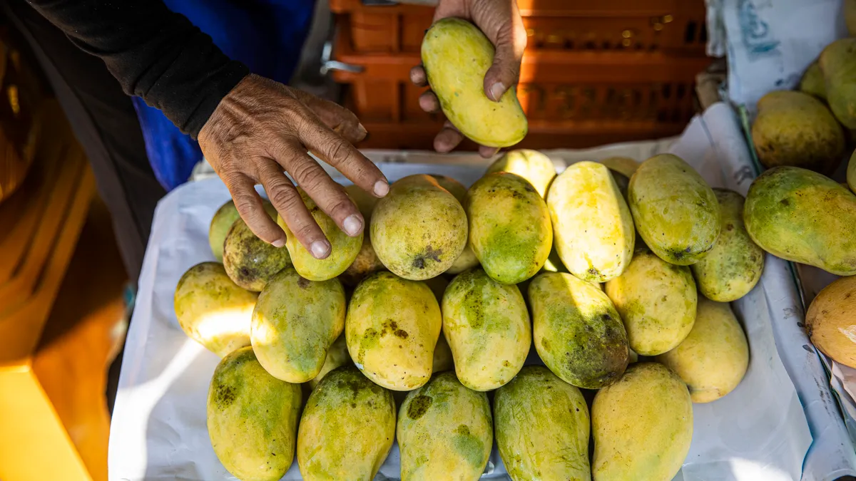 A pile of mangoes are stocked at a shop.