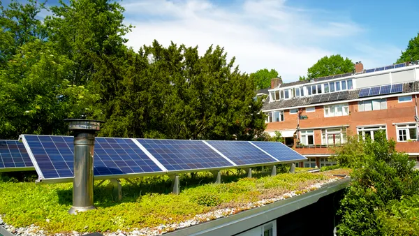 Solar panels on top of vegetation on a building roof. Behind the building is another building and trees.