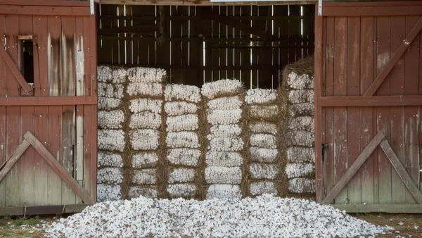 Raw cotton stacked in a barn