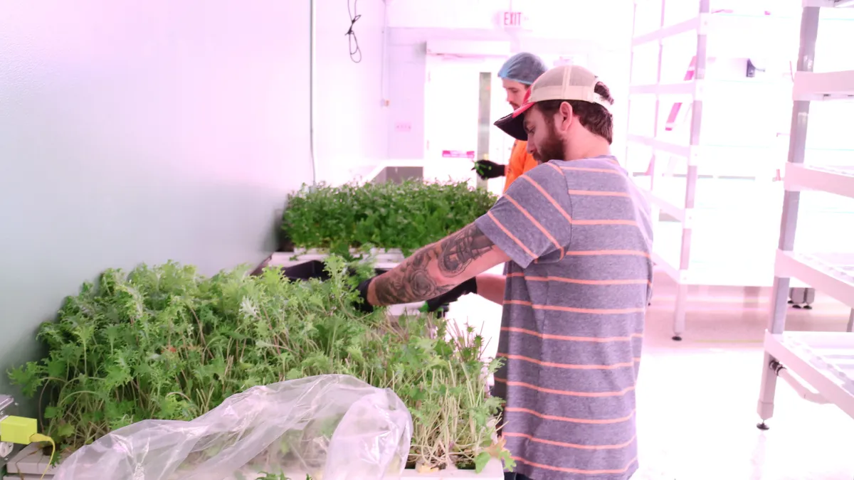 Workers at Second Chances Farm in Wilmington, Delaware handle produce on March 17, 2020.