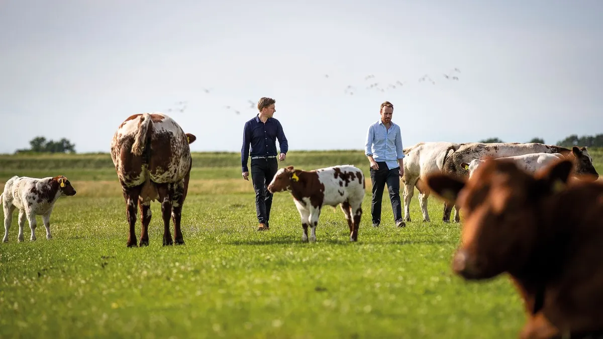 Cultured meat company Meatable's founders in a field with cows