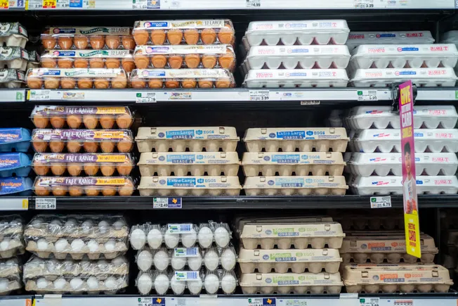 Cal-Maine points to egg supply, demand rebalance
