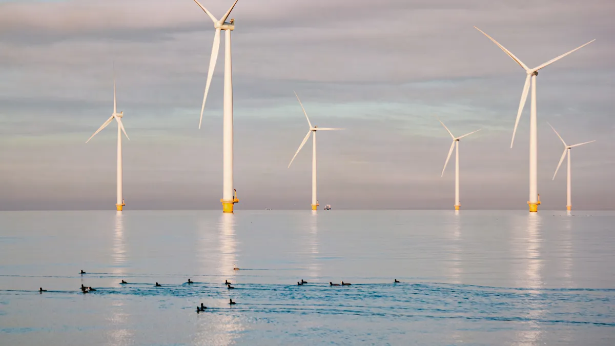 Ducks swim by in the foreground as offshore wind turbines turn against a dawn sky.