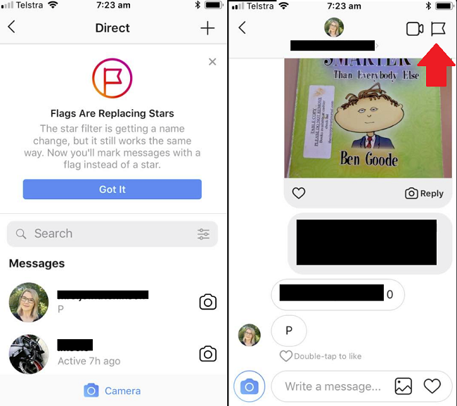 Instagram Flags introduction message [Screenshot]
