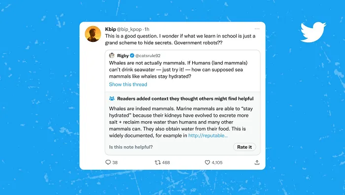 Twitter Community Notes