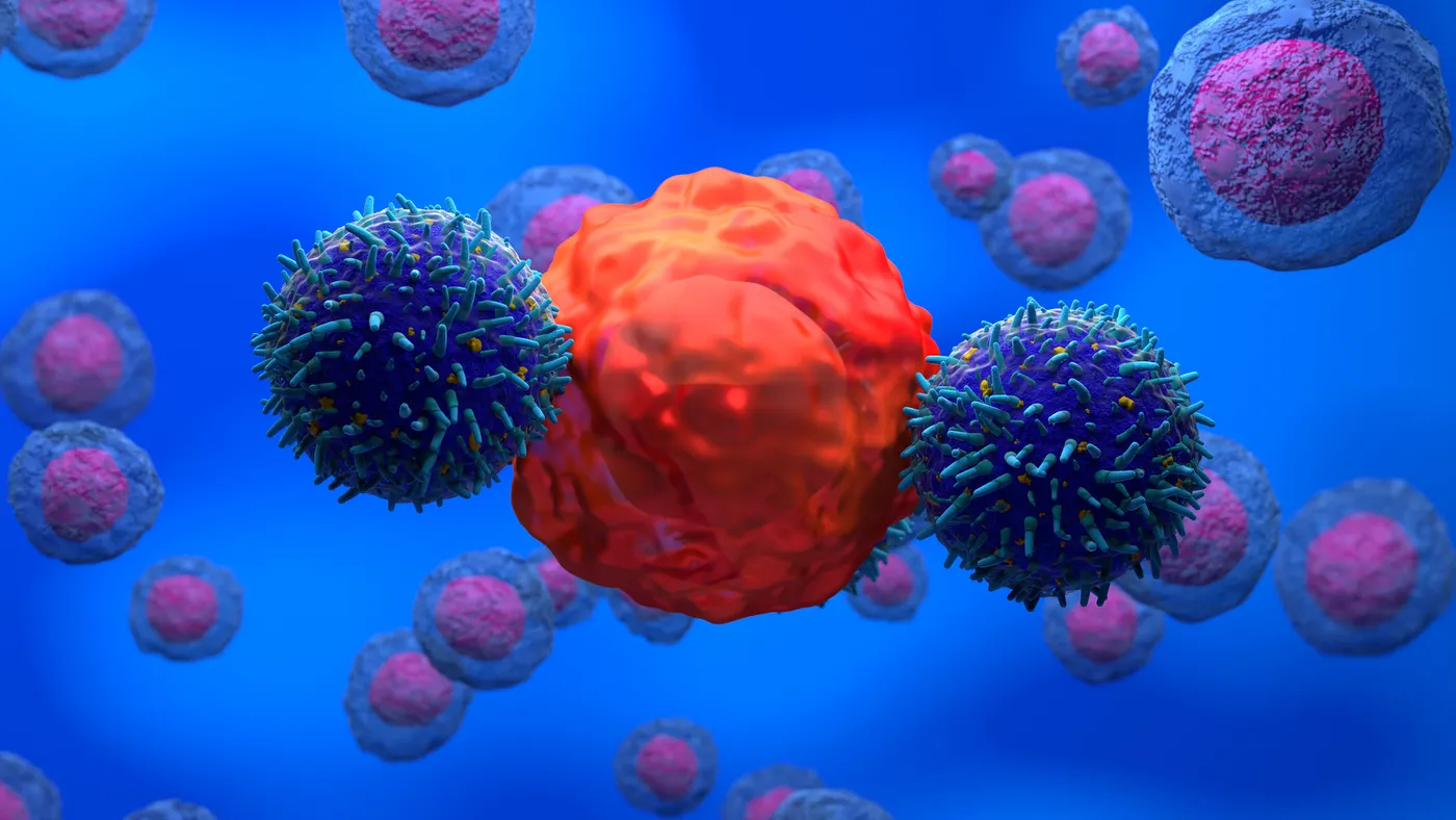 An illustration of engineered CAR-T cells attacking a cancer cell.