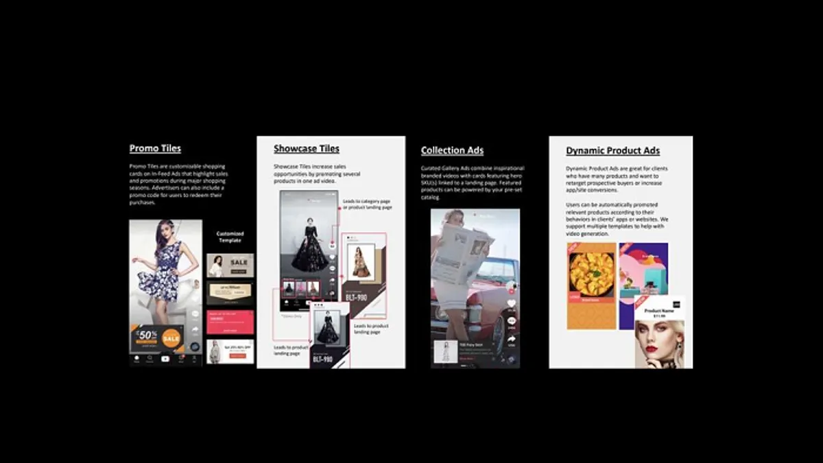 TikTok ad options