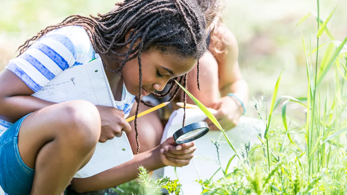 A multi-ethnic group of elementary school children are outdoors on a sunny day. They are wearing casual clothing. They are learning about nature in science class.