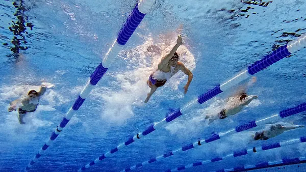 USA Swimming