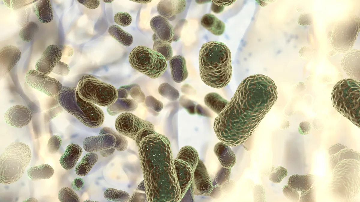 An illustration of the bacteria Acinetobacter baumannii, a common cause of hospital-acquired infections.