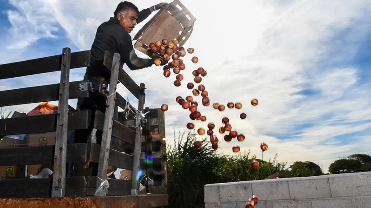 Huerta del Valle (HdV) provides a service for local businesses when HdV employee Nicolas Reza picks up organic waste such as nectarine and cut cabbage from a food distributor for the compost area of t