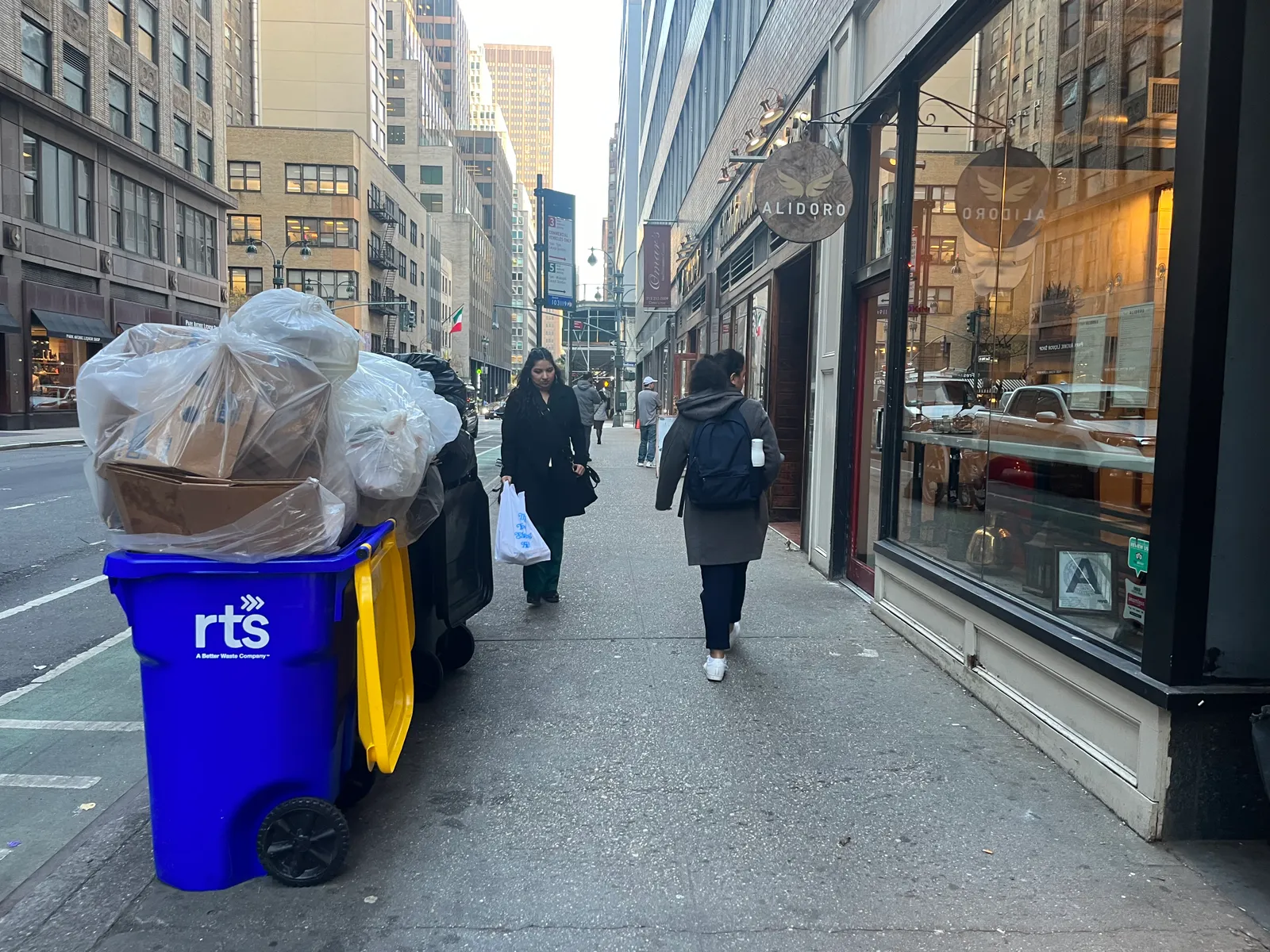 Recyclables in a blue RTS bin on the curb of a New York City street